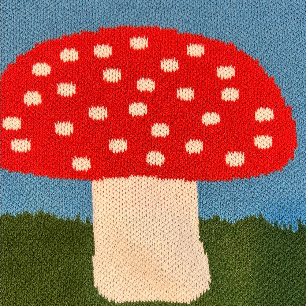 NWT Zara thick Mushroom Sweater graphics on back !! - Picture 2 of 9